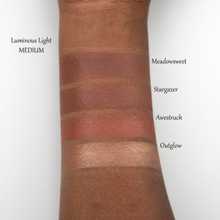 Sydney Grace - Luminous Light - Face Palette - Medium