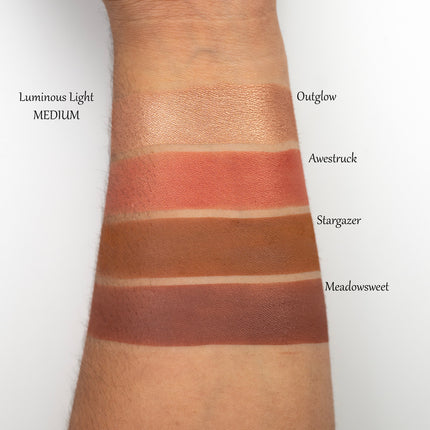 Sydney Grace - Luminous Light - Face Palette - Medium
