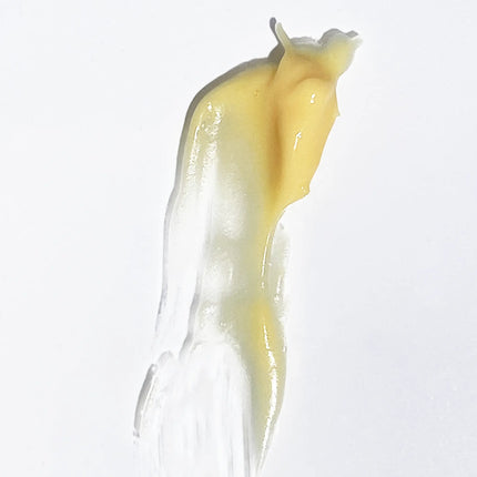 by valenti® - Bakuchiol Night Repair Cream Bakuchiol 1% + Retinyl Palmitate .3% + Hyaluronic acid + Ceramides