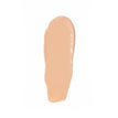 Concealer - 2 (Porcelain Silk)