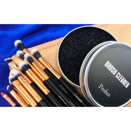 Prolux Cosmetics - Deluxe 12 Piece Eye Makeup Brush Set