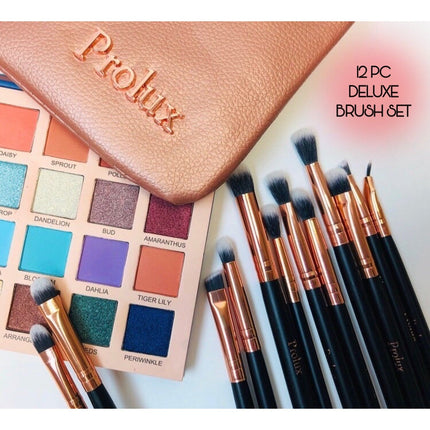 Prolux Cosmetics - Deluxe 12 Piece Eye Makeup Brush Set