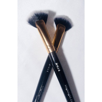 Prolux Cosmetics - Highlight Fan Brush