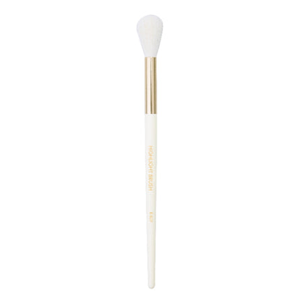 Prolux Cosmetics - Highlight Brush