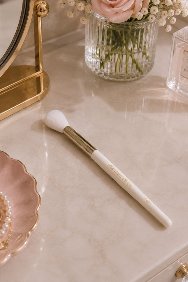 Prolux Cosmetics - Highlight Brush