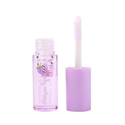 Prolux Cosmetics - Fruit Scented Lip Gloss