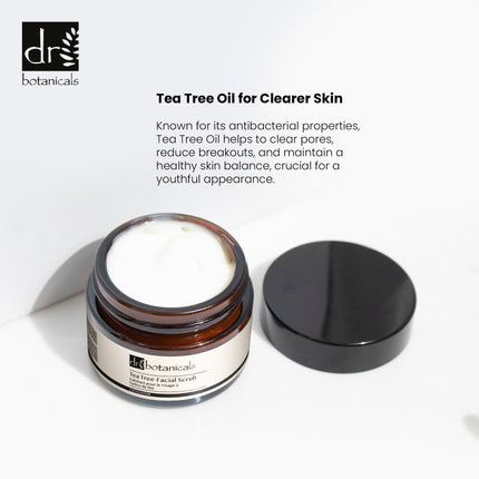 skinChemists US - Tea Tree Facial Scrub