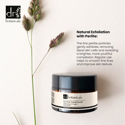 skinChemists US - Tea Tree Facial Scrub
